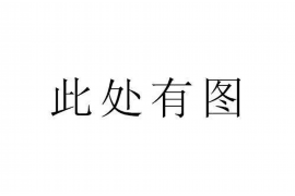 郴州企业清欠服务